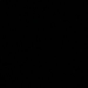 Meet your Posher, Josey